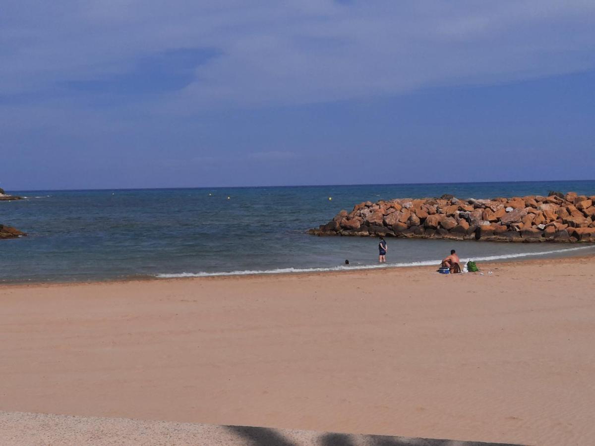 托雷维耶哈Moderno Apartamento Familiar Junto Al Mar - Conejito公寓 外观 照片