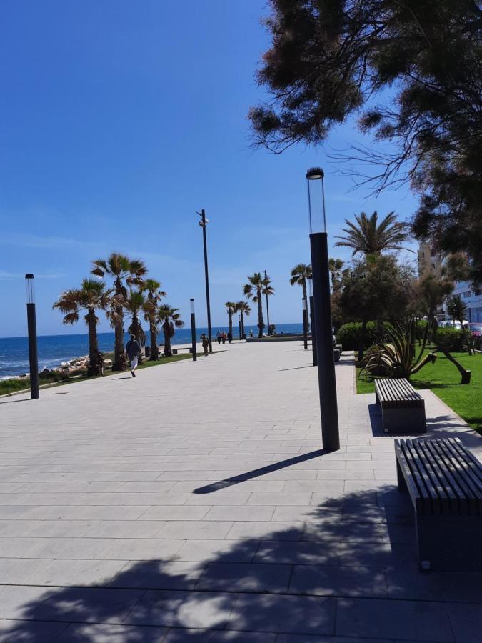 托雷维耶哈Moderno Apartamento Familiar Junto Al Mar - Conejito公寓 外观 照片